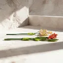 WhatsApp Image 2026-02-19 at 5.57.02 PM (17).webp