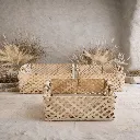 WhatsApp Image 2026-02-19 at 5.36.16 PM (3).webp