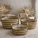 WhatsApp Image 2026-02-19 at 7.16.15 PM (24).webp