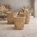 WhatsApp Image 2026-02-19 at 5.36.17 PM (2).webp