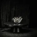 WhatsApp Image 2026-02-22 at 4.21.00 PM (8).webp