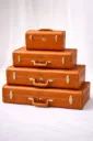 Amber Classic Suitcase Stack