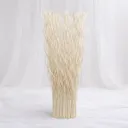 Savanna Pampas Bundle