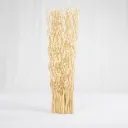 Savanna Pampas Bundle