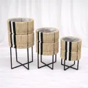 Luna Cane Planter Set