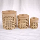 The Capri Cane Carrier