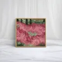 Rose Canopy