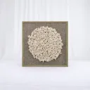 Ivory Halo