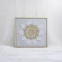 Lace Radiance