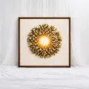 Solaris Aurea