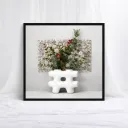 Crystalized Botanical