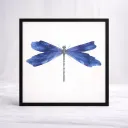 Azure Wing