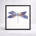 Iris Flight
