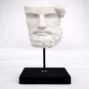 Disc of Resilience White