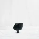 Bloom Vessel