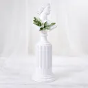 Classical Bloom