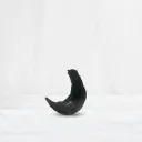 Crescent Whisper Form