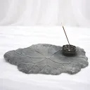 Lotus Reverie