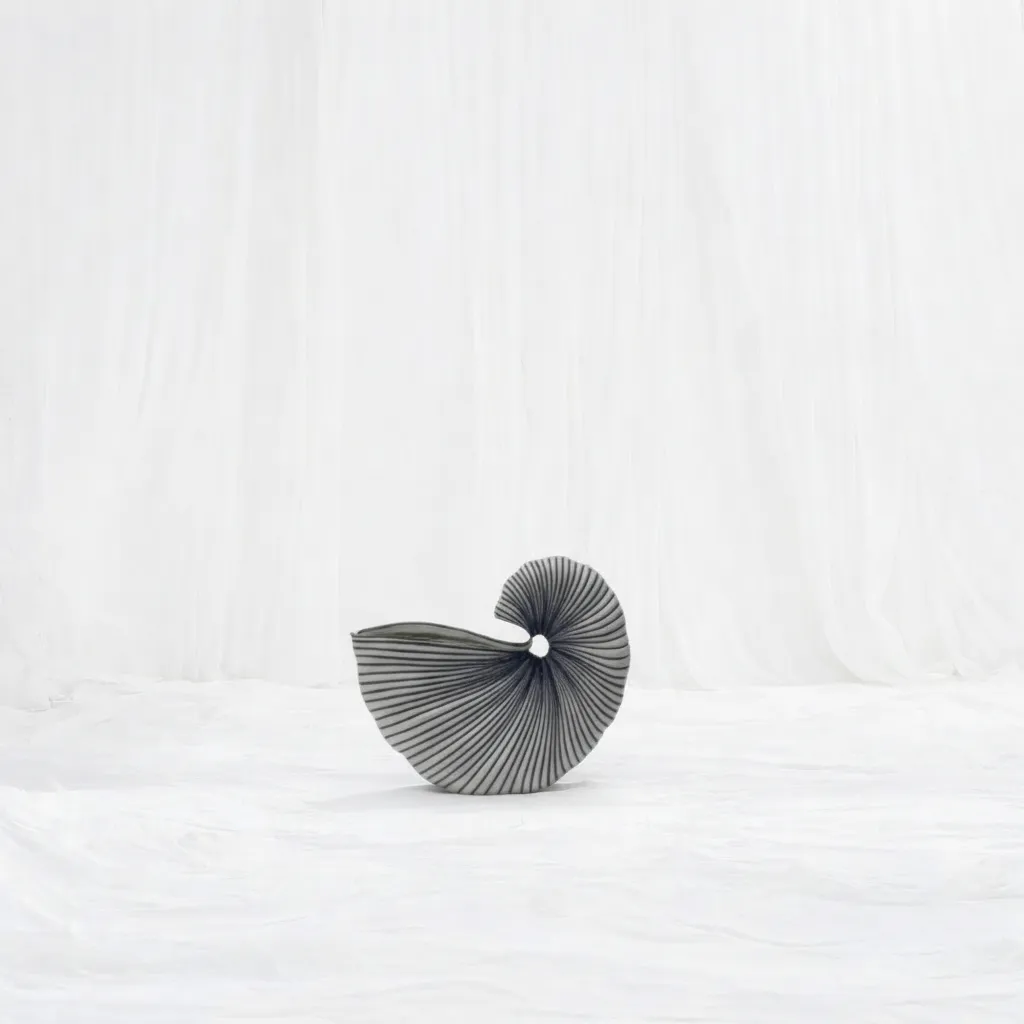 Spiral of Motion