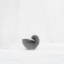 Spiral of Motion