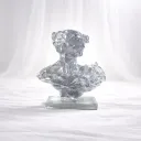 Veiled Muse