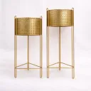 Auric Horizon Stands