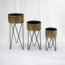 Skyline Sprout Stand