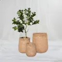 Aureva Trio Planter