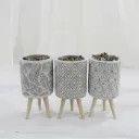Decorative Ceramic Planters