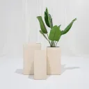 Ivory Haven Minimal Planter Set