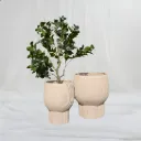 Nova Luxe Pot