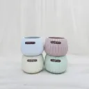 Pastel Ribbed Ceramic Succulent Planters