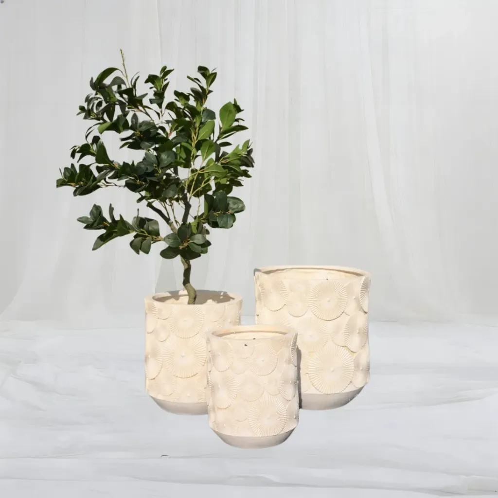 [P-1110] Sorelle Set