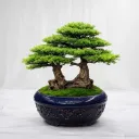 Azure Zen