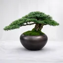 Verdant Sphere