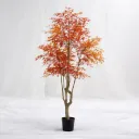 Autumn Ember
