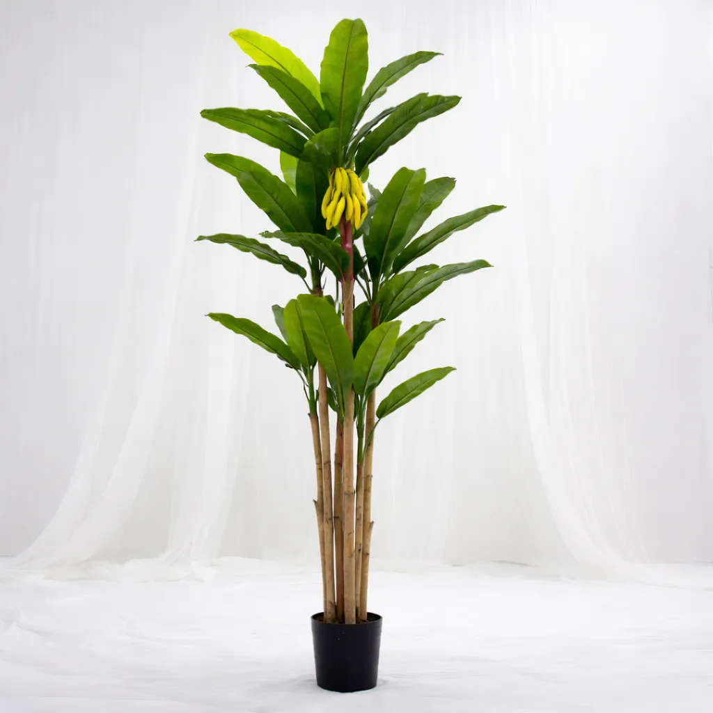 [P-1336] Botanica Elite