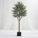 Canopy Prime
