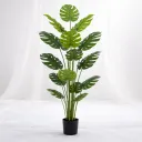 Emerald Cascade