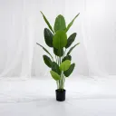 Green Poise