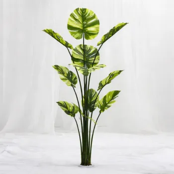 [P-1349] Imperial Variegata