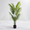 Palm Royale