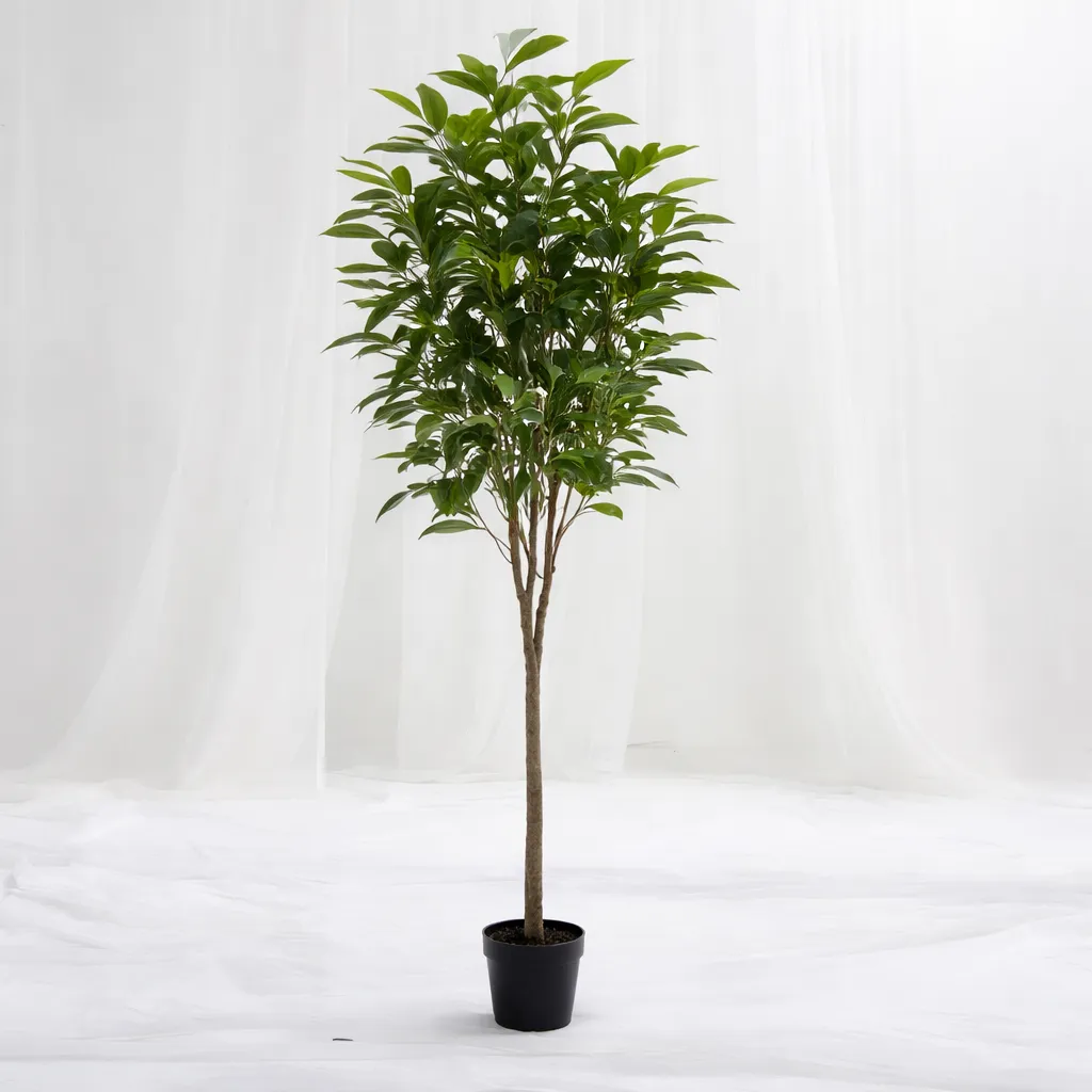 [P-1356] Skyline Green