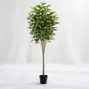 Skyline Green