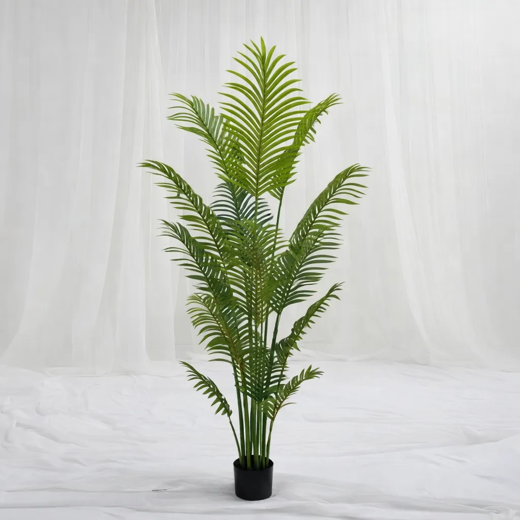 [P-1358] Tropic Grace