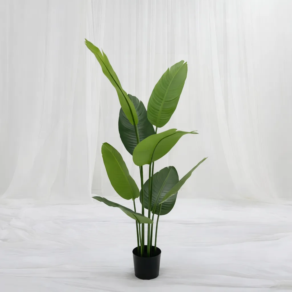 [P-1360] Urban Tropica