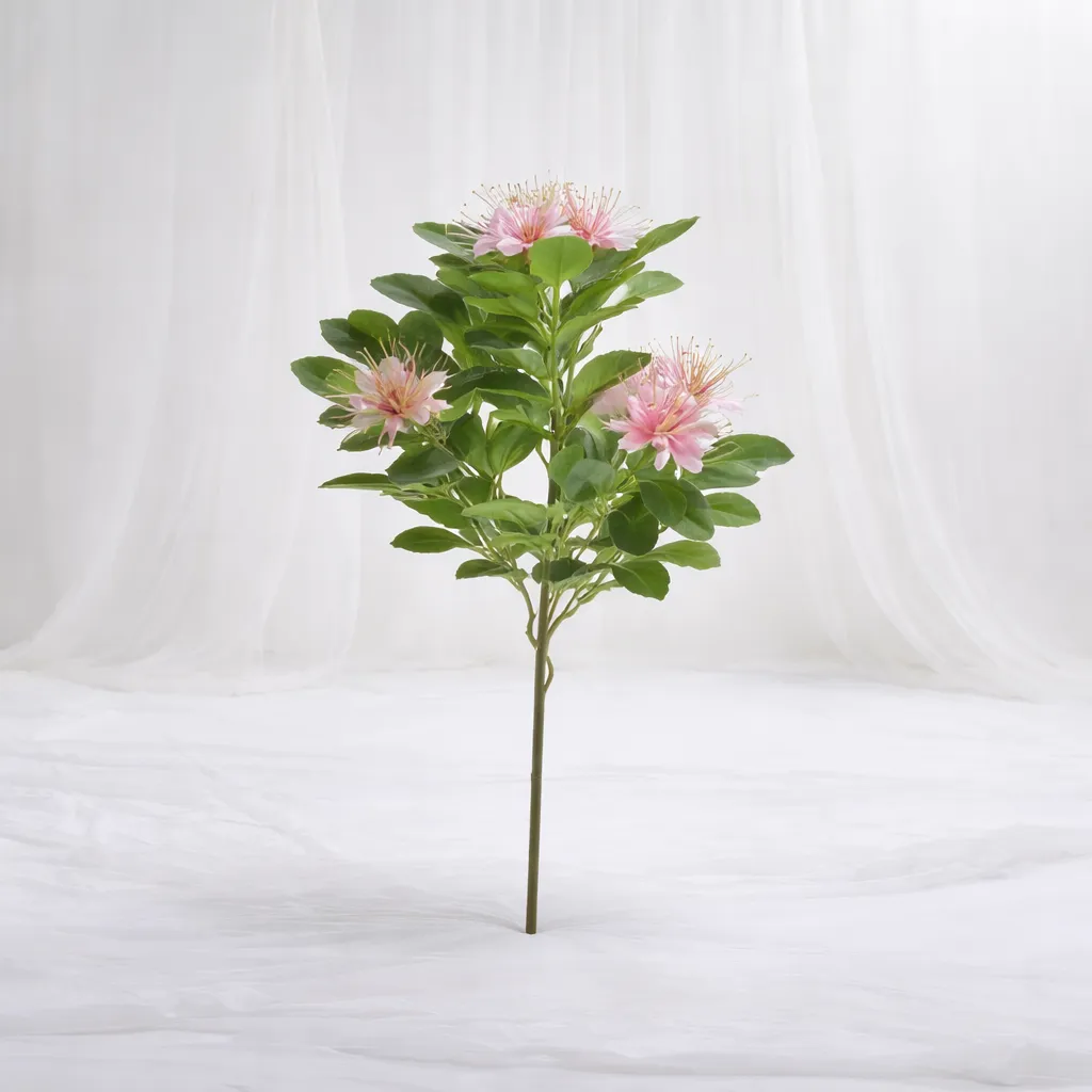 Blush Bloom