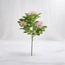 Blush Bloom