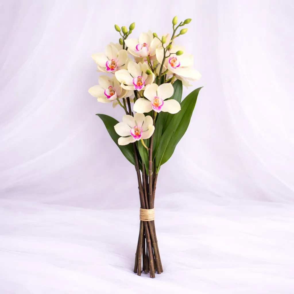 [SF-1370] Blush Orchid Royale