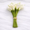Calla Royale Bundle